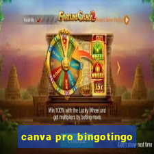 canva pro bingotingo